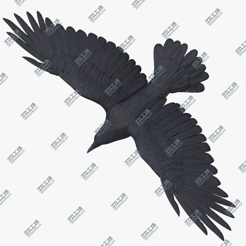images/goods_img/2021040234/Crow 03/1.jpg